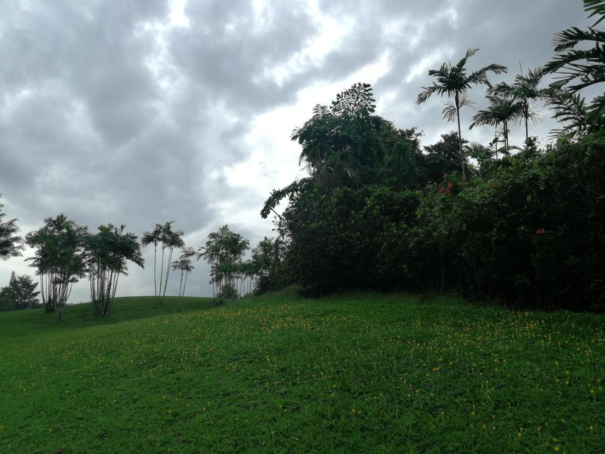 Fuxi Fruit Garden Villa Langkawi 富囍休闲度假水果园别墅兰卡威 Kuah Exteriér fotografie